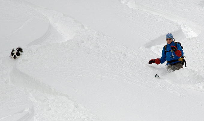 www.wowasatch.com