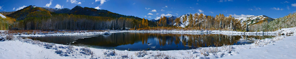 willow-pano