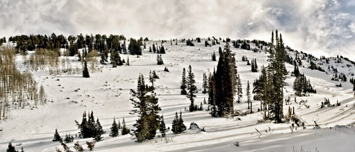 cabin-run