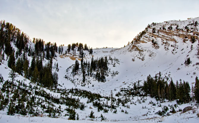 upper-alex