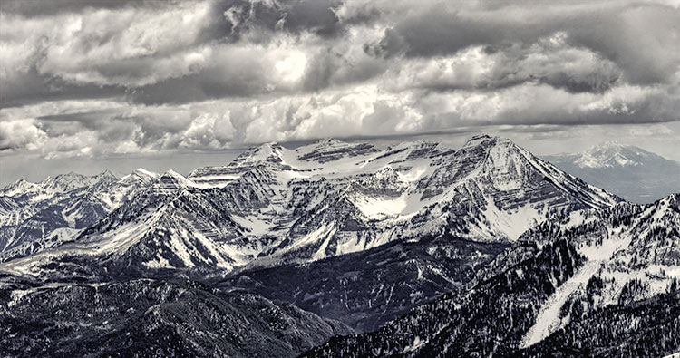 timp