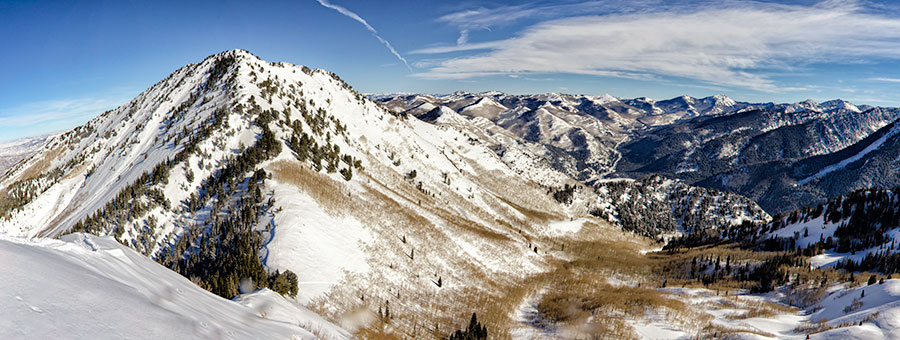 gobblers-pano