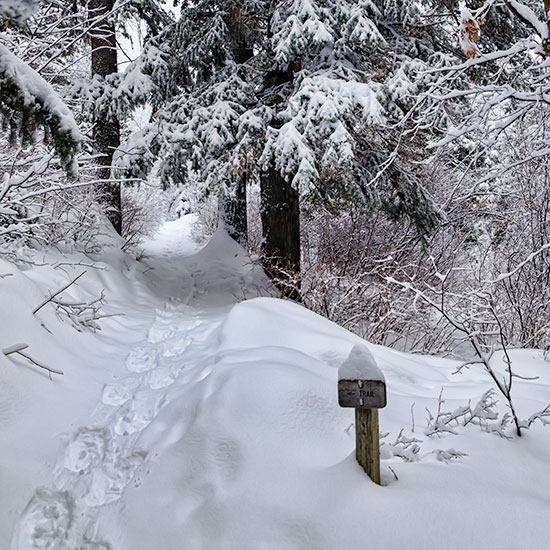 trail