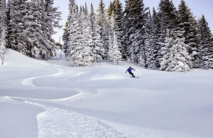 north-bowl
