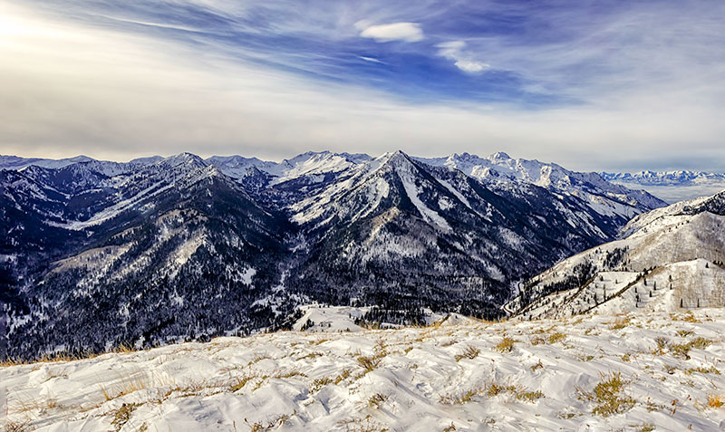 reynolds-pano