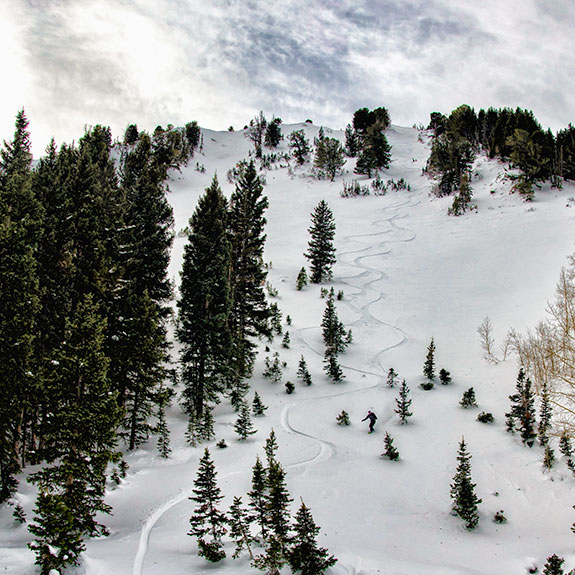 wilson-chutes