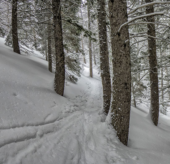 onthetrail