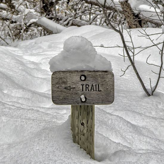snostake
