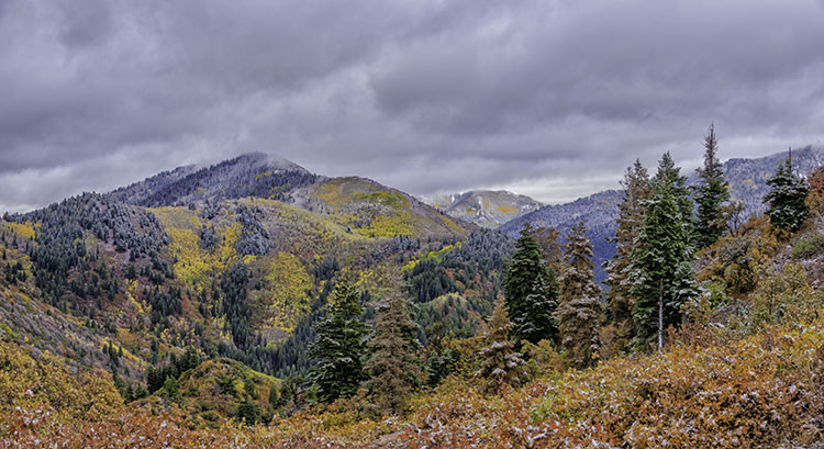 flurries