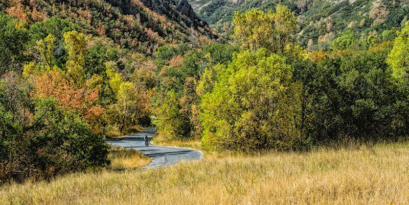 curve