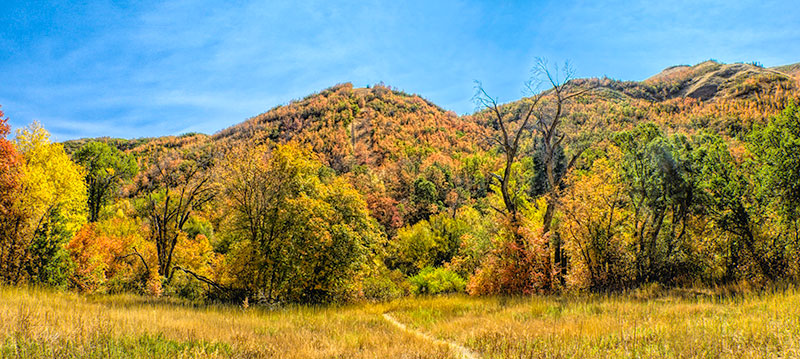off-the-ridge