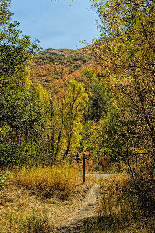trail-sign