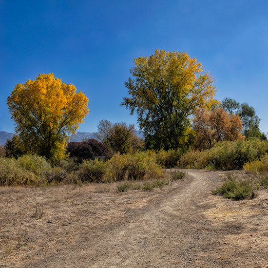 path