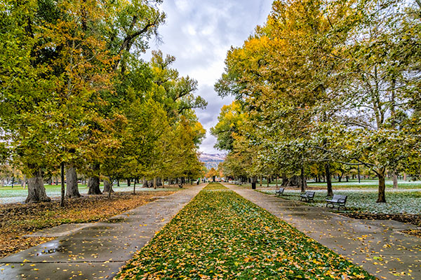 liberty-park