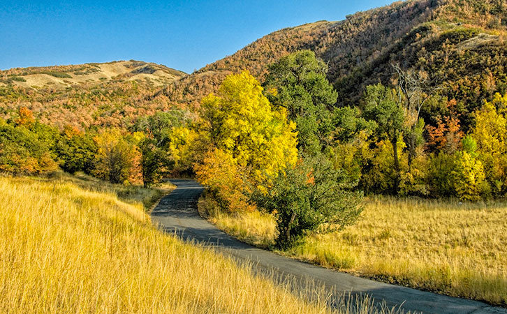 road