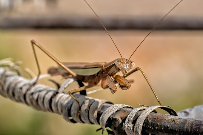 one